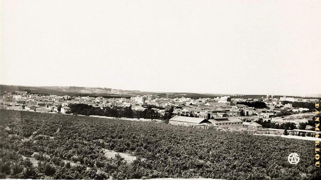 AIN TEMOUCHENT 509- VUE GENERALE COLLECTION DES AMIS DE ND DE SANTA CRUZ.jpg